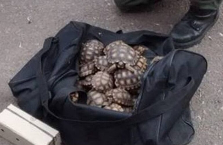 Foto: Prensa Gendarmer&iacute;a