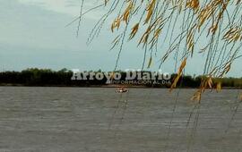 Imagen de Contin&uacute;a la b&uacute;squeda de los desaparecidos en el Paran&aacute;