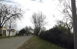 La cuadra. Esta es la zona de 1° de Mayo casi Baigorria, los ligustrines están altos y el lugar además la iluminación no es la suficiente.