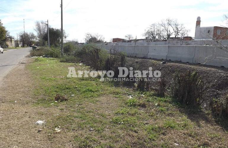 Imagen de Tras el asalto del fin de semana, cortan los ligustrines de calle 1° de Mayo