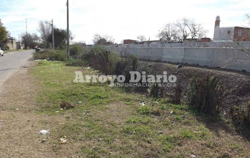 Imagen de Tras el asalto del fin de semana, cortan los ligustrines de calle 1&deg; de Mayo