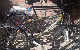 Imagen de Le robaron la bicicleta de la puerta de la escuela