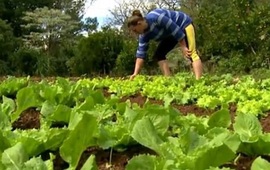 Imagen de Informaci&oacute;n para beneficiarios del Monotributo Social Agropecuario