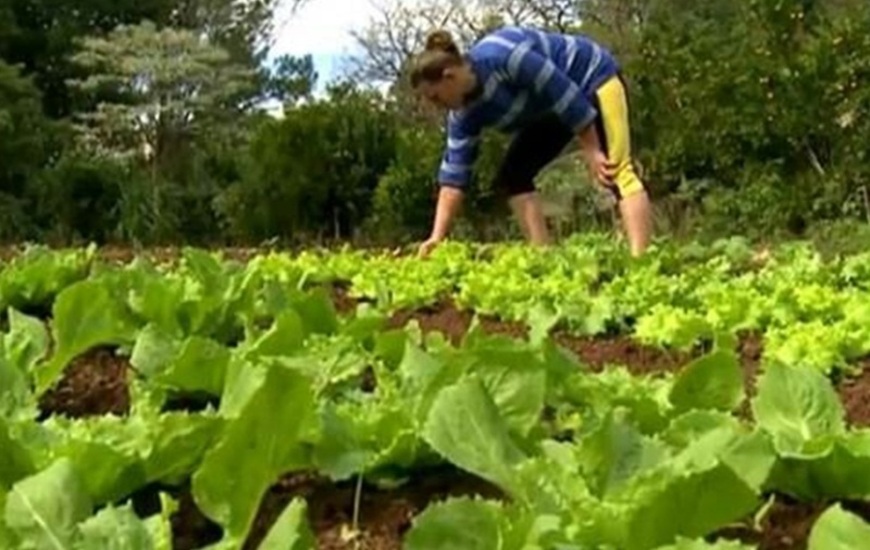 Imagen de Información para beneficiarios del Monotributo Social Agropecuario