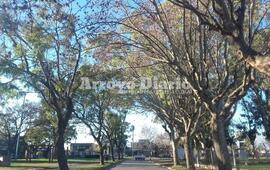 Imagen de Aire helado: M&aacute;s fr&iacute;o que ayer