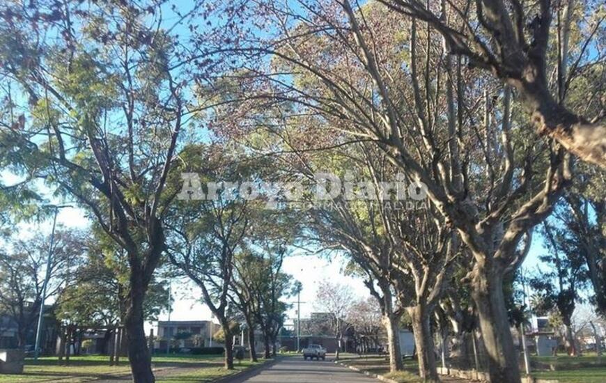 Imagen de Aire helado: M&aacute;s fr&iacute;o que ayer