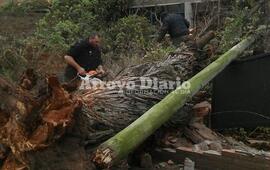 Imagen de Arroyo Seco registr&oacute; r&aacute;fagas que alcanzaron los 80 kil&oacute;metros