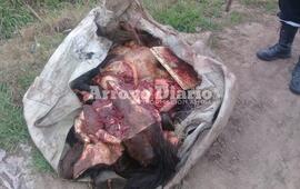 Imagen de Encuentran �patas y tripas� de caballo