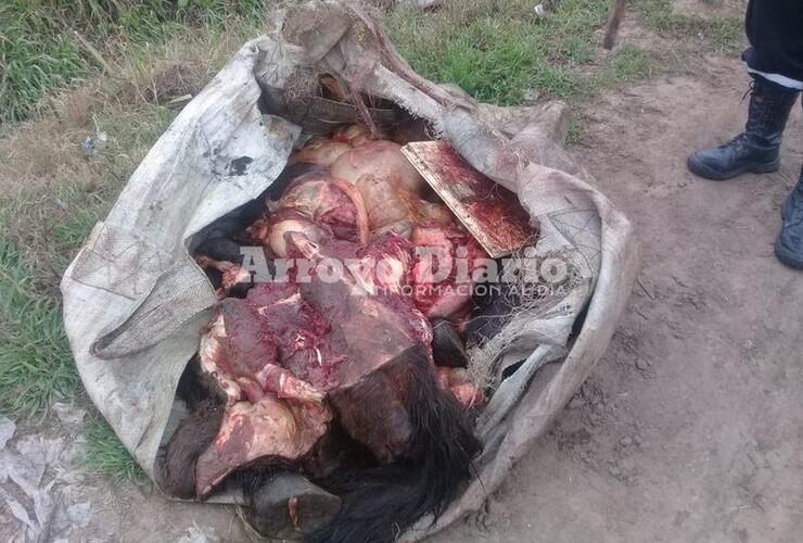 Imagen de Encuentran “patas y tripas” de caballo