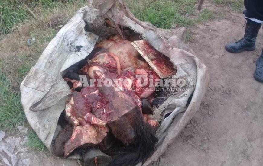 Imagen de Encuentran �patas y tripas� de caballo