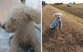 Observación. Al momento de extraviarse no contaba con el chalequito de la foto.