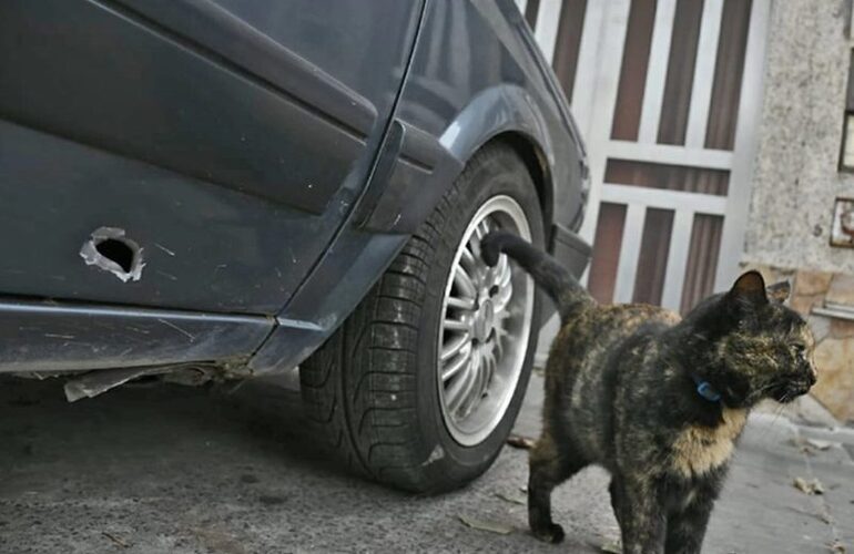 Foto: Juan Jos&eacute; Garc&iacute;a.