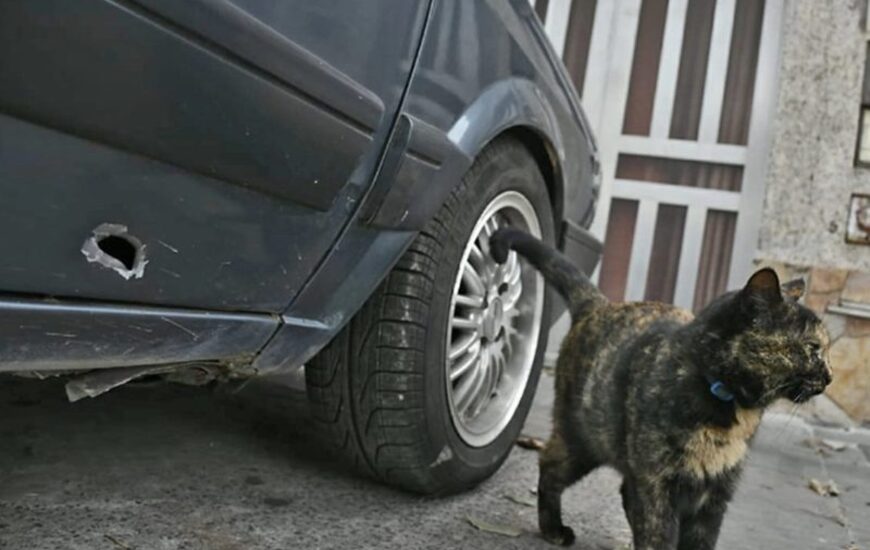 Foto: Juan Jos&eacute; Garc&iacute;a.