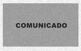 Imagen de Comunicado de Prensa diputada nacional Alejandra Rodenas