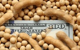 Imagen de La provincia intentará revertir la decisión del gobierno de eliminar el fondo sojero