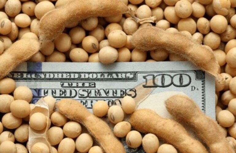 Imagen de La provincia intentar&aacute; revertir la decisi&oacute;n del gobierno de eliminar el fondo sojero