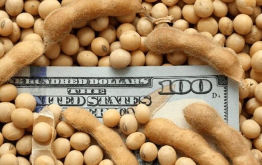 Imagen de La provincia intentar&aacute; revertir la decisi&oacute;n del gobierno de eliminar el fondo sojero