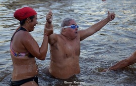 Imagen de Los Tiburones serán distinguidos por el Senado de la Nación