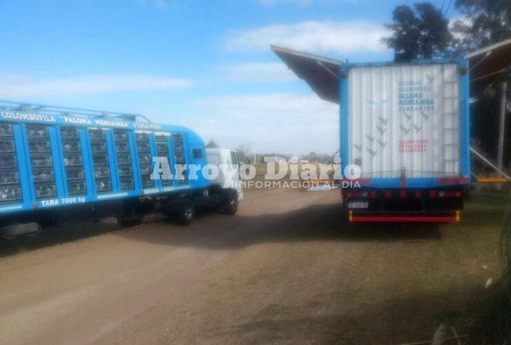 Estos son los camiones que transportan palomas mensajeras para las competencias.