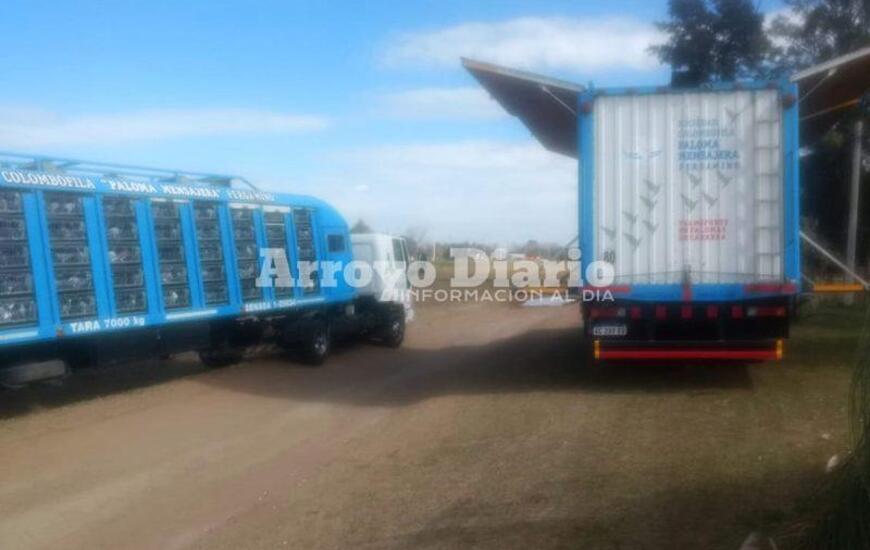 Estos son los camiones que transportan palomas mensajeras para las competencias.