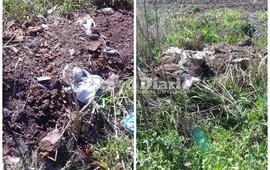 Las imágenes fueron tomadas el pasado domingo por una vecina que las envió a nuestra redacción.