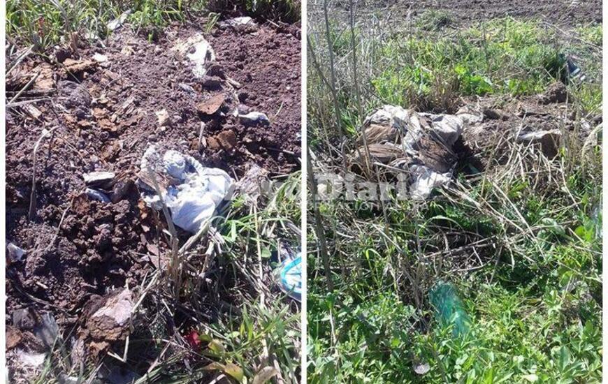 Las imágenes fueron tomadas el pasado domingo por una vecina que las envió a nuestra redacción.