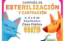 Imagen de Sobre la Campaña de Esterilización y Castración de perros y gatos