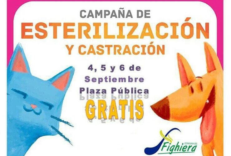 Imagen de Sobre la Campaña de Esterilización y Castración de perros y gatos