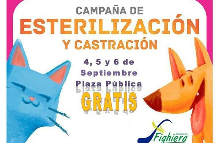 Imagen de Sobre la Campaña de Esterilización y Castración de perros y gatos