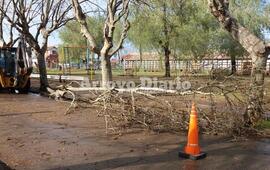 Fotos: Gentileza Stella Gasparri