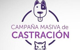 Imagen de Fighiera: Información importante sobre la campaña