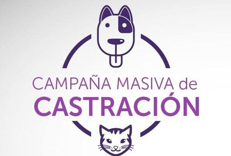Imagen de Fighiera: Información importante sobre la campaña