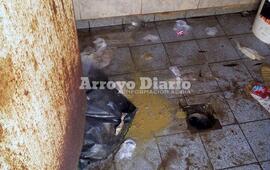 Imagen de ¡Dan Asco!: Así están los baños del puerto