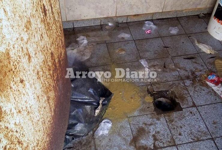 Imagen de ¡Dan Asco!: Así están los baños del puerto