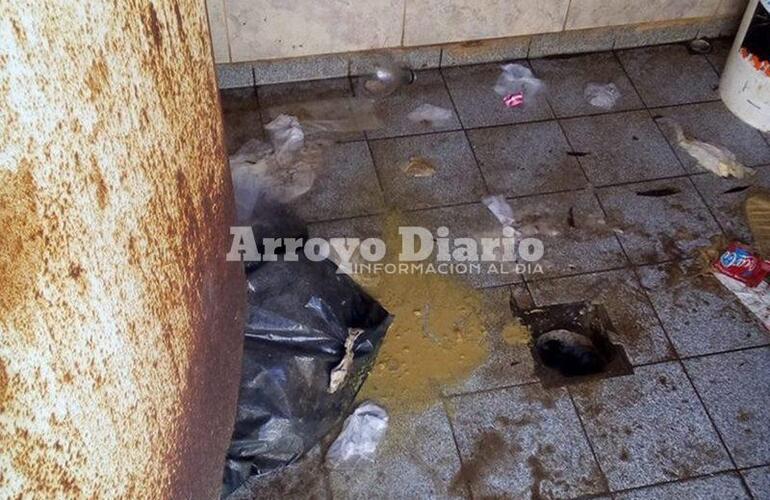 Imagen de ¡Dan Asco!: Así están los baños del puerto