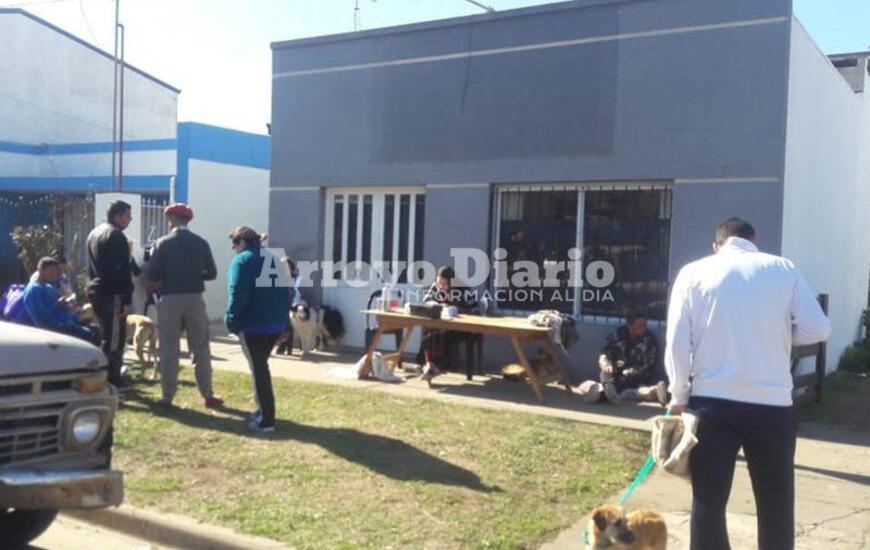 Imagen de Campa&ntilde;a de castraci&oacute;n para perros y gatos