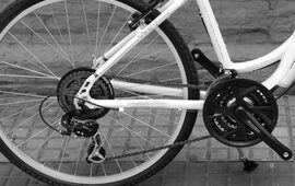 Foto: Imagen Ilustrativa.