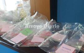 Imagen de Semillas gratis en Fighiera