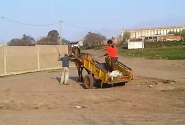 La imagen fue tomada del video que se hizo viral donde se ve claramente que un hombre golpea a latigazos y a patadas al caballo.