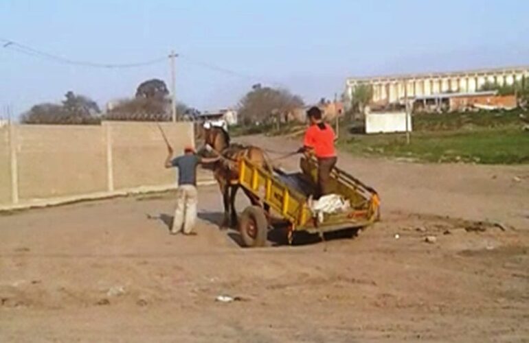 La imagen fue tomada del video que se hizo viral donde se ve claramente que un hombre golpea a latigazos y a patadas al caballo.