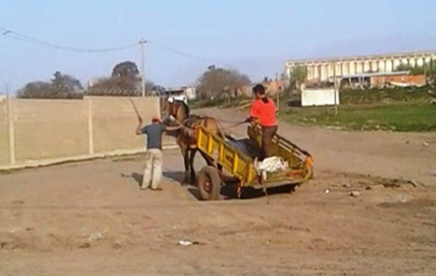 La imagen fue tomada del video que se hizo viral donde se ve claramente que un hombre golpea a latigazos y a patadas al caballo.