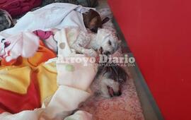 En el Complejo. La jornada se realiz&oacute; hoy en Tiburones.