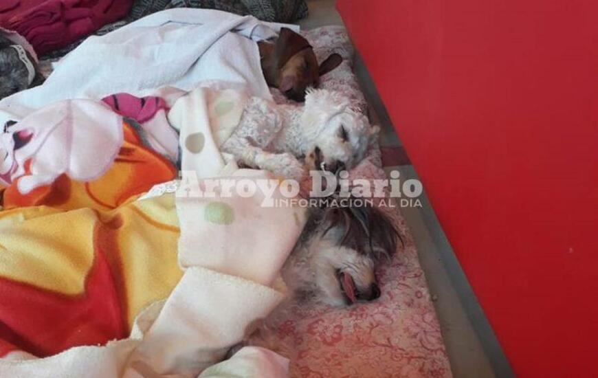 En el Complejo. La jornada se realiz&oacute; hoy en Tiburones.