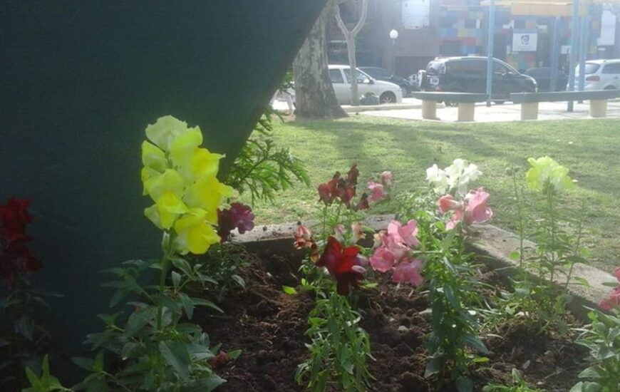 Fotos: Gentileza Nicol&aacute;s Trabaina