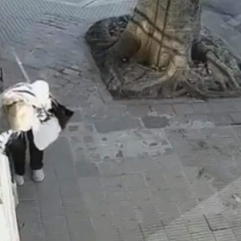 Foto: captura de pantalla video Instagram Foto: captura de pantalla video Instagram