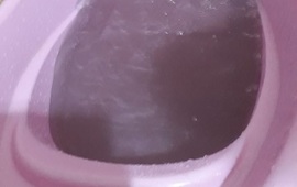 Las fotos tomadas por la vecina en el d&iacute;a de hoy.