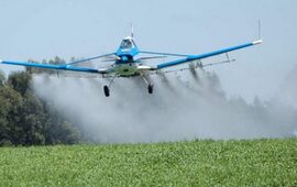 Nunca más. Los habitantes de Entre Ríos y, en especial, quienes transitan por escuelas rurales desean que las fumigaciones no afecten más sus vidas.