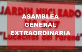 Imagen de Lucecitas del Paran&aacute; convoca a Asamblea