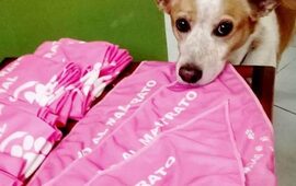 Foto: Imagen Ilustrativa.