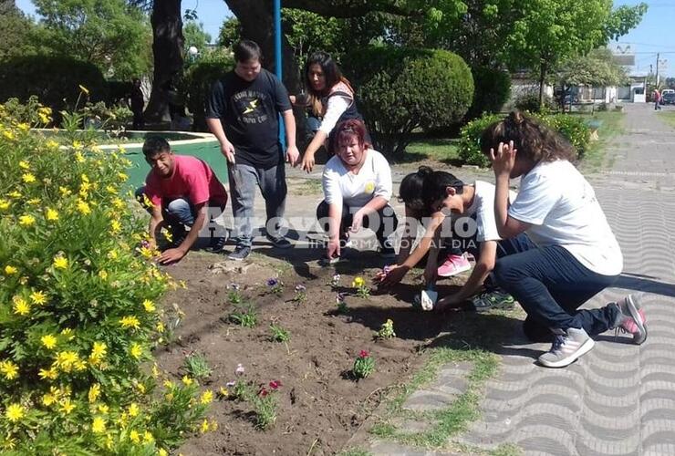 Imagen de En Plaza San Martín: Jornada de embellecimiento de espacios públicos